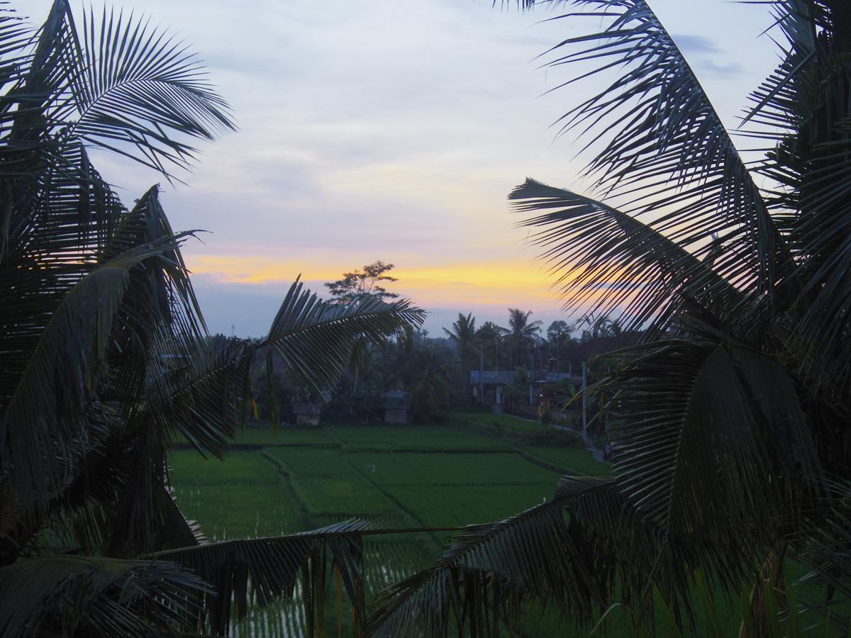 Bed & Breakfast Eden House