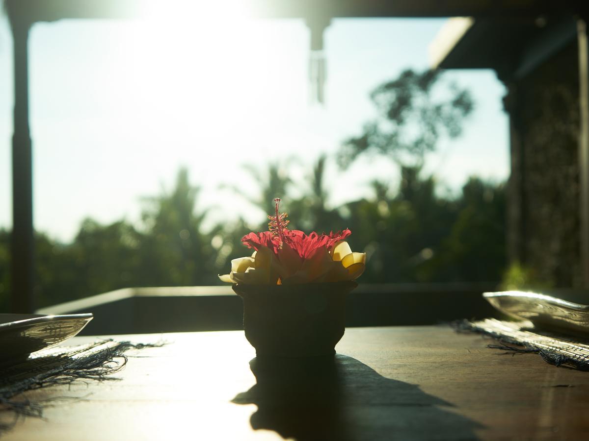 Eden House Bed & Breakfast 2*
